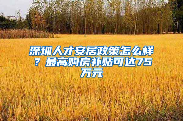 深圳人才安居政策怎么樣？最高購房補(bǔ)貼可達(dá)75萬元