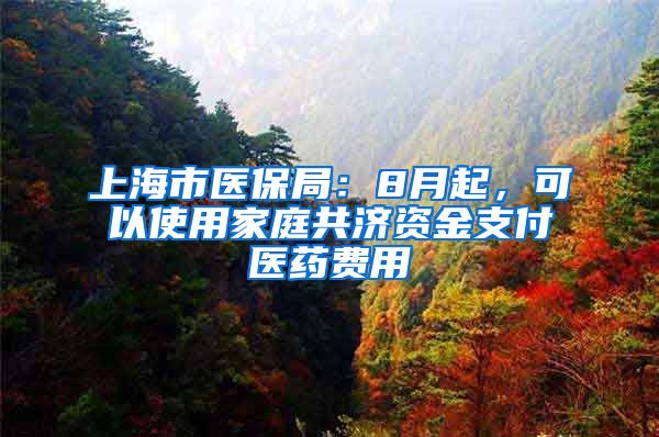 上海市醫(yī)保局：8月起，可以使用家庭共濟資金支付醫(yī)藥費用