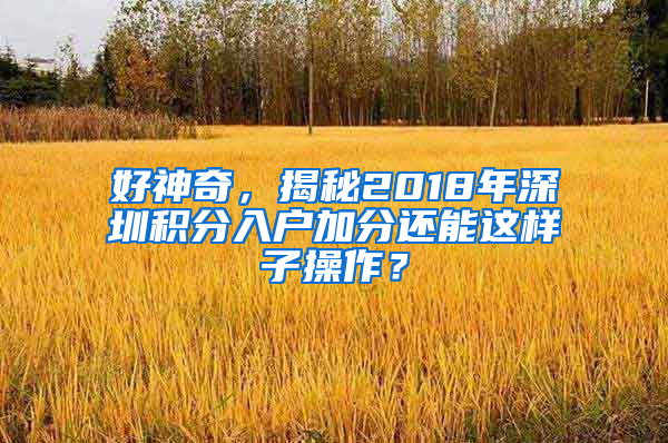 好神奇，揭秘2018年深圳積分入戶加分還能這樣子操作？