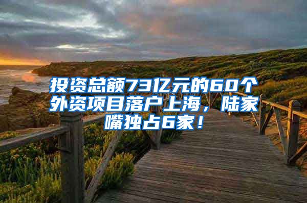 投資總額73億元的60個外資項目落戶上海，陸家嘴獨占6家！