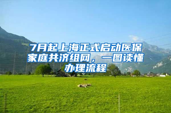 7月起上海正式啟動醫(yī)保家庭共濟組網(wǎng)，一圖讀懂辦理流程