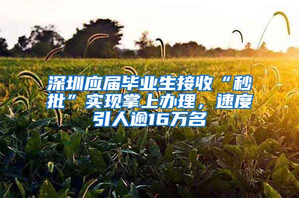 深圳應(yīng)屆畢業(yè)生接收“秒批”實現(xiàn)掌上辦理，速度引人逾16萬名