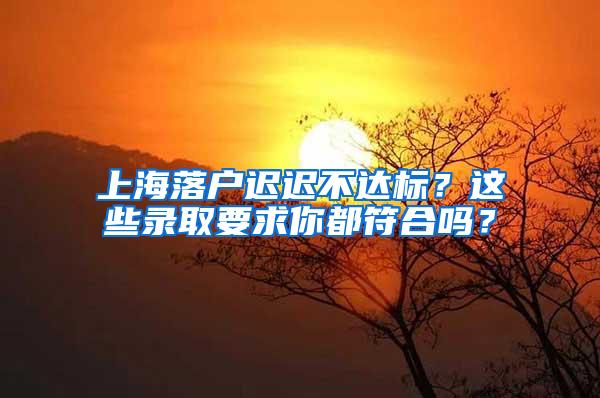 上海落戶遲遲不達(dá)標(biāo)？這些錄取要求你都符合嗎？