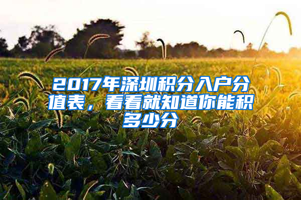 2017年深圳積分入戶分值表，看看就知道你能積多少分