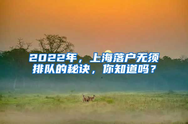 2022年，上海落戶無須排隊的秘訣，你知道嗎？