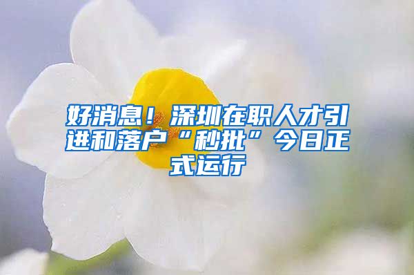 好消息！深圳在職人才引進和落戶“秒批”今日正式運行