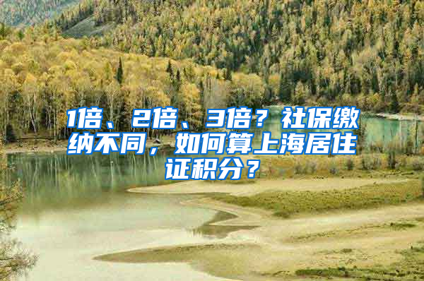 1倍、2倍、3倍？社保繳納不同，如何算上海居住證積分？