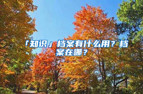 「知識」檔案有什么用？檔案在哪？