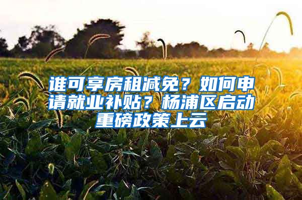 誰可享房租減免？如何申請(qǐng)就業(yè)補(bǔ)貼？楊浦區(qū)啟動(dòng)重磅政策上云