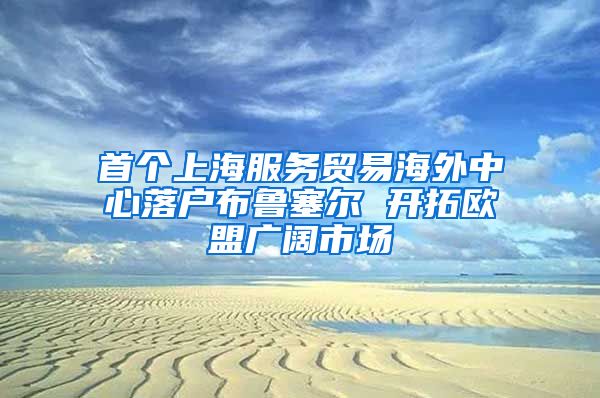 首個上海服務(wù)貿(mào)易海外中心落戶布魯塞爾 開拓歐盟廣闊市場