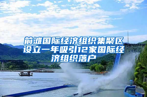 前灘國際經(jīng)濟(jì)組織集聚區(qū)設(shè)立一年吸引12家國際經(jīng)濟(jì)組織落戶