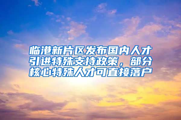 臨港新片區(qū)發(fā)布國內(nèi)人才引進特殊支持政策，部分核心特殊人才可直接落戶