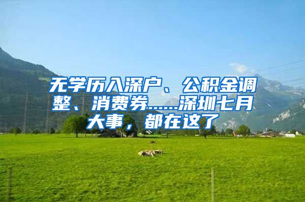 無學歷入深戶、公積金調(diào)整、消費券......深圳七月大事，都在這了