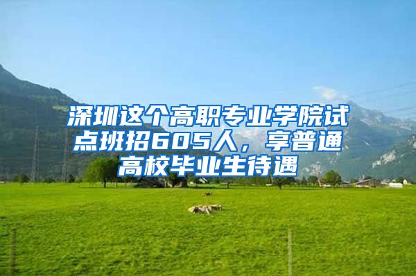 深圳這個高職專業(yè)學院試點班招605人，享普通高校畢業(yè)生待遇