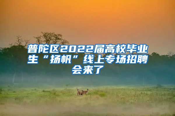 普陀區(qū)2022屆高校畢業(yè)生“揚帆”線上專場招聘會來了