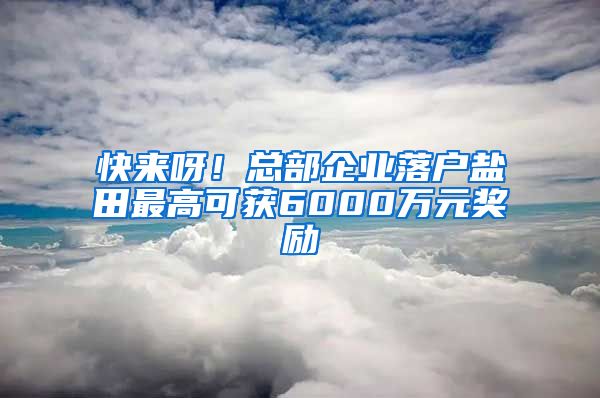 快來呀！總部企業(yè)落戶鹽田最高可獲6000萬元獎勵