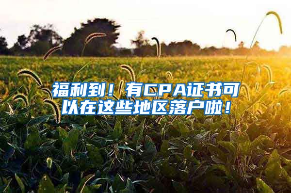 福利到！有CPA證書可以在這些地區(qū)落戶啦！