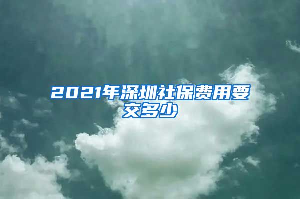 2021年深圳社保費用要交多少