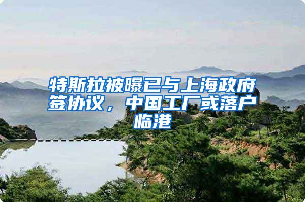 特斯拉被曝已與上海政府簽協(xié)議，中國(guó)工廠或落戶臨港