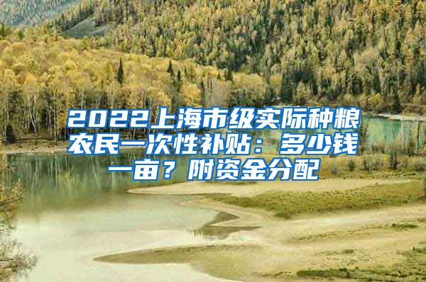 2022上海市級實(shí)際種糧農(nóng)民一次性補(bǔ)貼：多少錢一畝？附資金分配