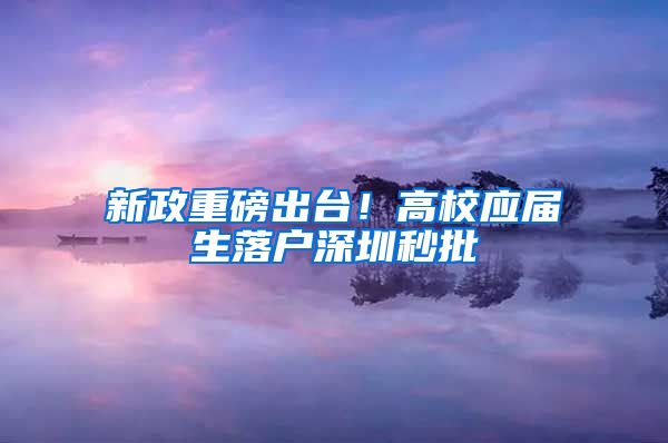 新政重磅出臺！高校應屆生落戶深圳秒批