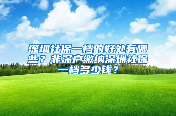 深圳社保一檔的好處有哪些？非深戶繳納深圳社保一檔多少錢？