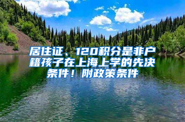 居住證、120積分是非戶籍孩子在上海上學(xué)的先決條件！附政策條件