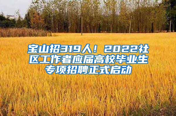 寶山招319人！2022社區(qū)工作者應(yīng)屆高校畢業(yè)生專項(xiàng)招聘正式啟動(dòng)