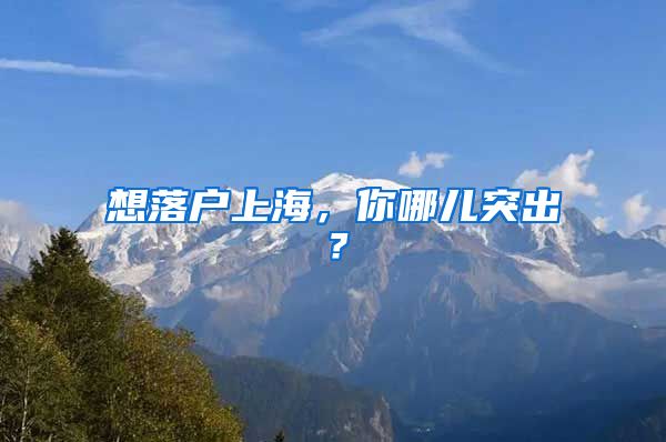 想落戶上海，你哪兒突出？