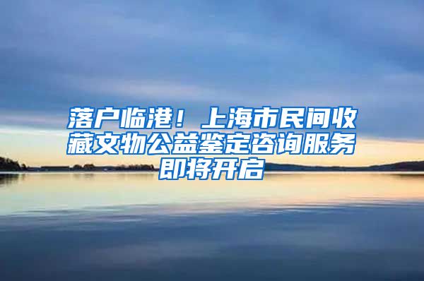 落戶臨港！上海市民間收藏文物公益鑒定咨詢服務(wù)即將開啟