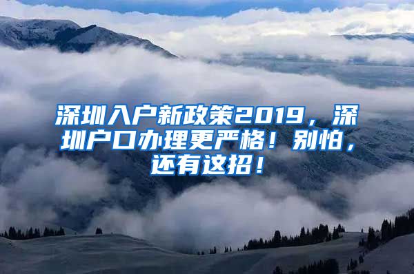 深圳入戶新政策2019，深圳戶口辦理更嚴格！別怕，還有這招！