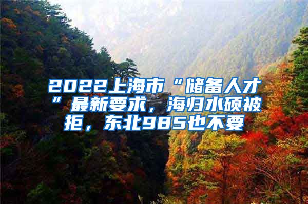 2022上海市“儲備人才”最新要求，海歸水碩被拒，東北985也不要