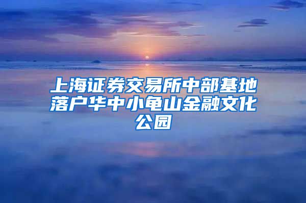 上海證券交易所中部基地落戶華中小龜山金融文化公園