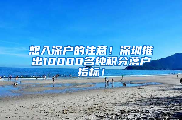 想入深戶的注意！深圳推出10000名純積分落戶指標(biāo)！