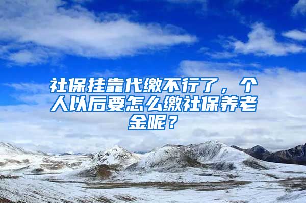 社保掛靠代繳不行了，個人以后要怎么繳社保養(yǎng)老金呢？