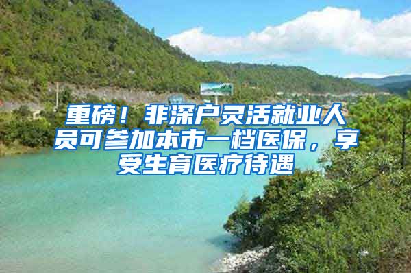 重磅！非深戶靈活就業(yè)人員可參加本市一檔醫(yī)保，享受生育醫(yī)療待遇