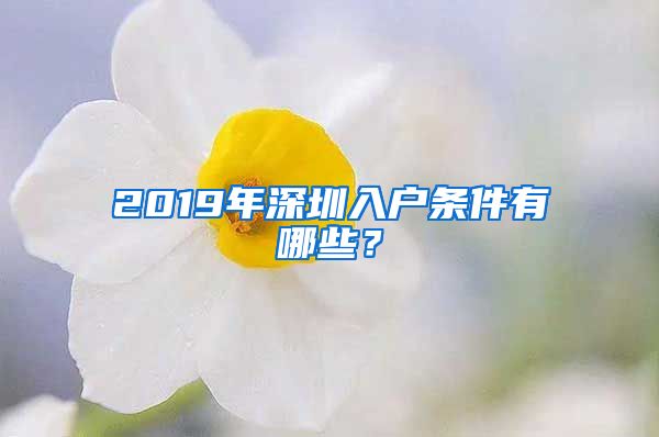 2019年深圳入戶條件有哪些？