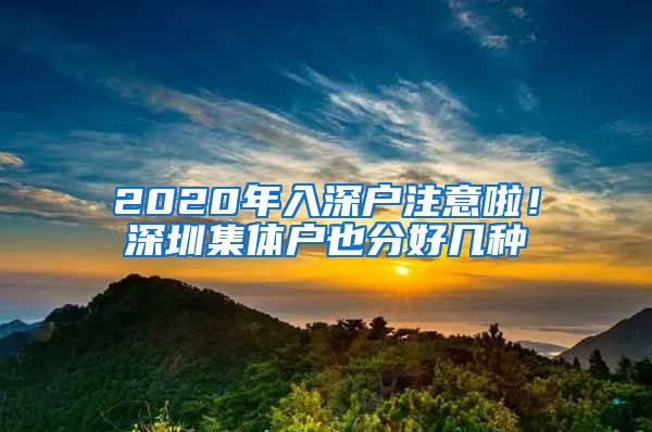 2020年入深戶注意啦！深圳集體戶也分好幾種