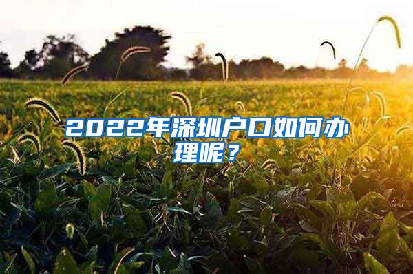 2022年深圳戶口如何辦理呢？