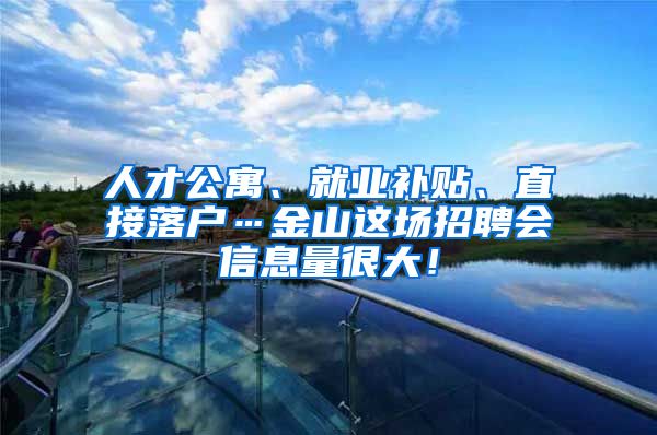 人才公寓、就業(yè)補貼、直接落戶…金山這場招聘會信息量很大！