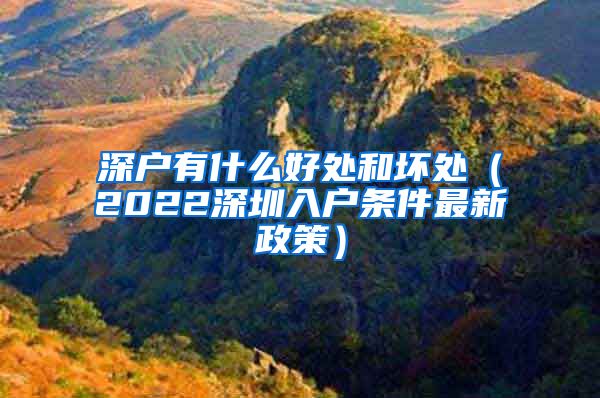 深戶有什么好處和壞處（2022深圳入戶條件最新政策）