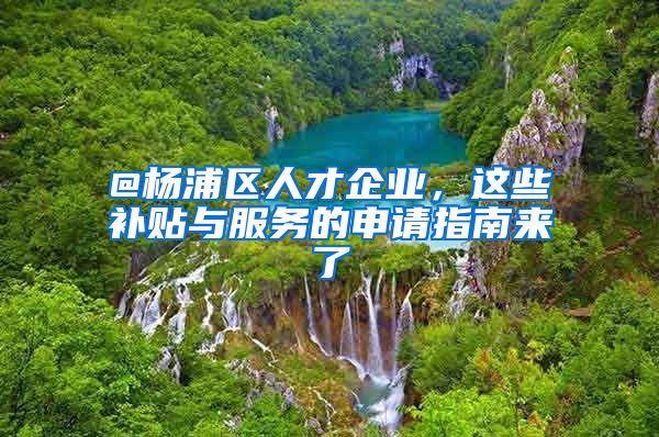 @楊浦區(qū)人才企業(yè)，這些補(bǔ)貼與服務(wù)的申請(qǐng)指南來了