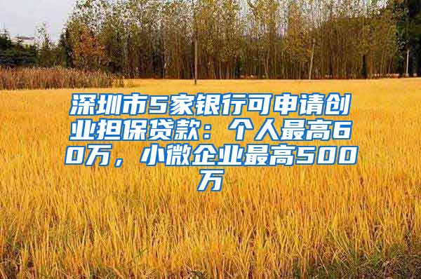 深圳市5家銀行可申請創(chuàng)業(yè)擔保貸款：個人最高60萬，小微企業(yè)最高500萬