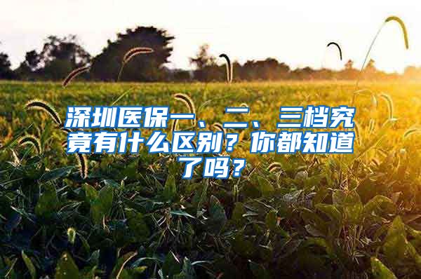 深圳醫(yī)保一、二、三檔究竟有什么區(qū)別？你都知道了嗎？