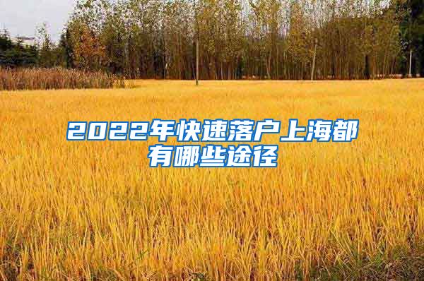 2022年快速落戶上海都有哪些途徑