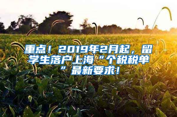 重點！2019年2月起，留學(xué)生落戶上?！皞€稅稅單”最新要求！