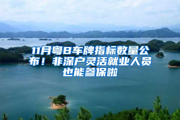 11月粵B車牌指標(biāo)數(shù)量公布！非深戶靈活就業(yè)人員也能參保啦