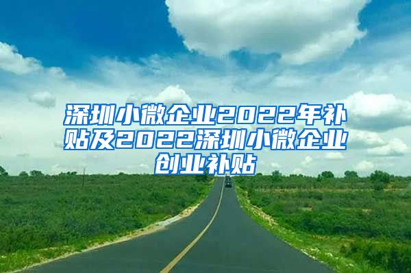 深圳小微企業(yè)2022年補貼及2022深圳小微企業(yè)創(chuàng)業(yè)補貼