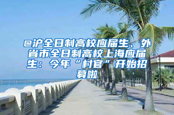 @滬全日制高校應(yīng)屆生、外省市全日制高校上海應(yīng)屆生：今年“村官”開始招募啦