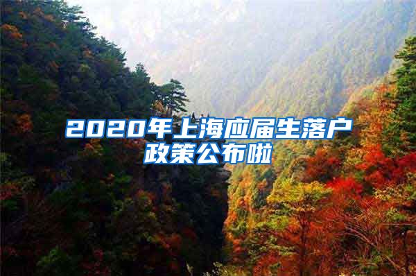 2020年上海應(yīng)屆生落戶政策公布啦